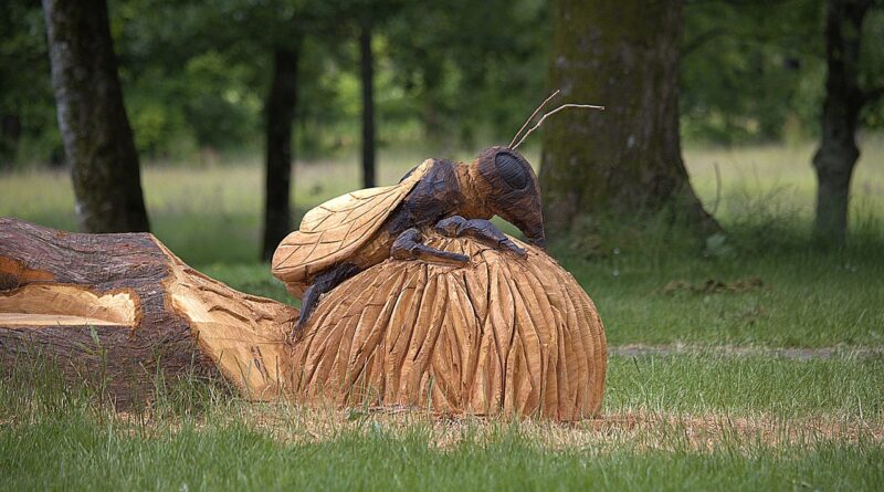 chainsaw, sculpture, bee, nature, statue, landscape, garden, honeycomb