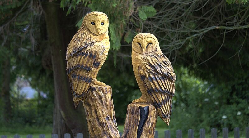 chainsaw, sculpture, wood, owls, nature, carving, carved, tree, statue