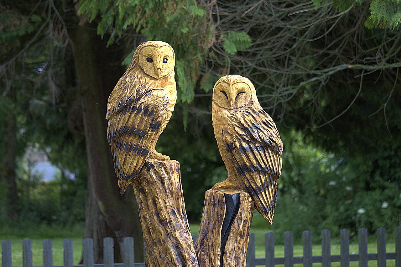 chainsaw, sculpture, wood, owls, nature, carving, carved, tree, statue